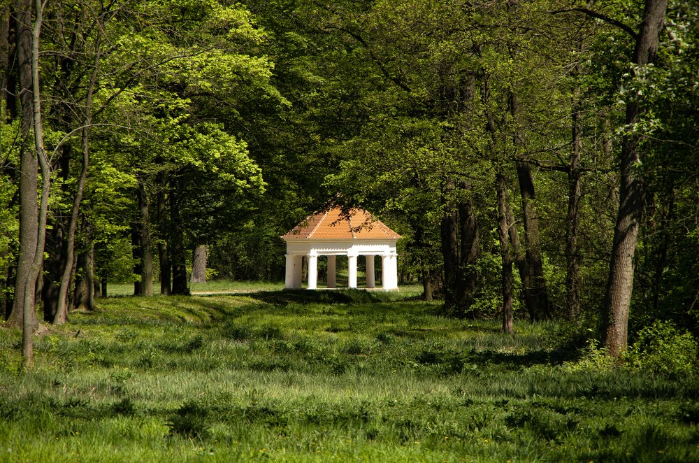 Фотография автора Марина Савчиц
