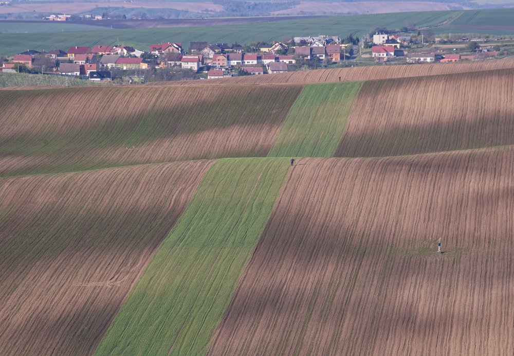 Фотография автора Марина Савчиц