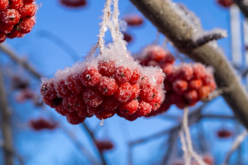 Photograph by Анастасия Власова