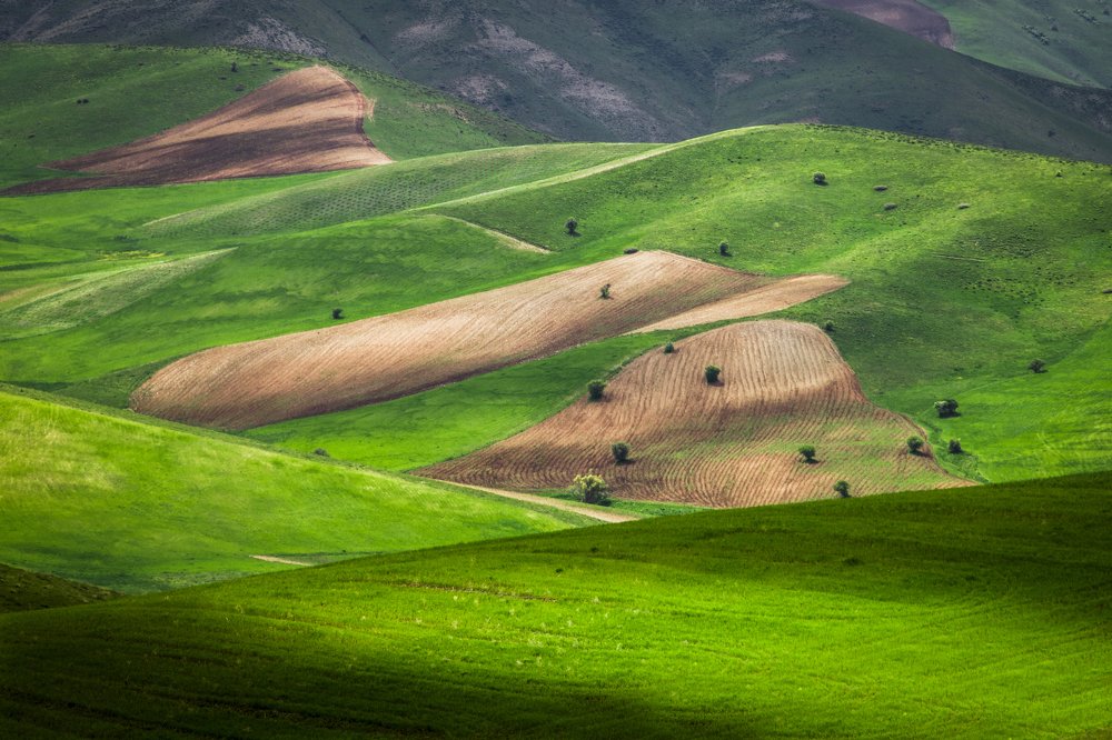 Photograph by bahar rismani