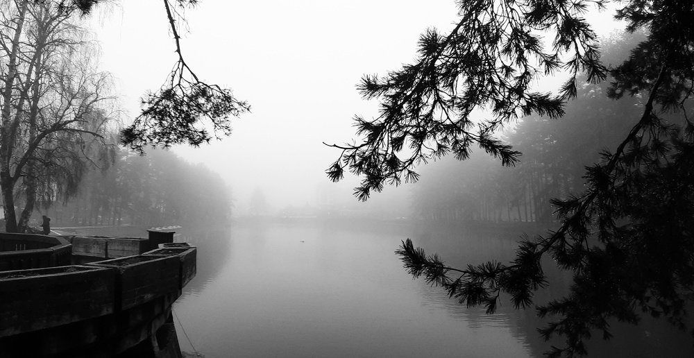 Photograph by Alexandra Sasha