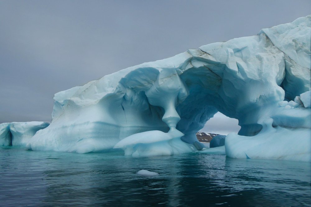 Photograph by Владимир Комов