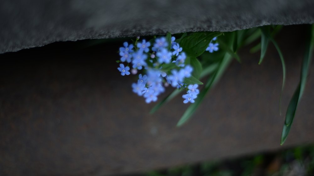 Photograph by Фарида Рахимова