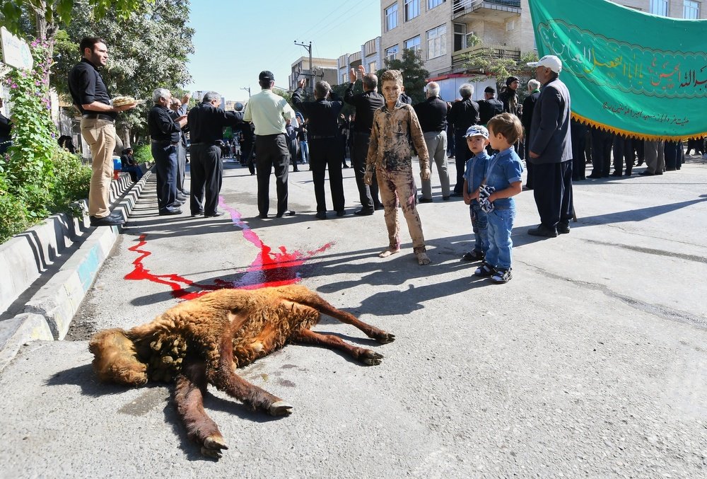 Photograph by Adl Abdolahi