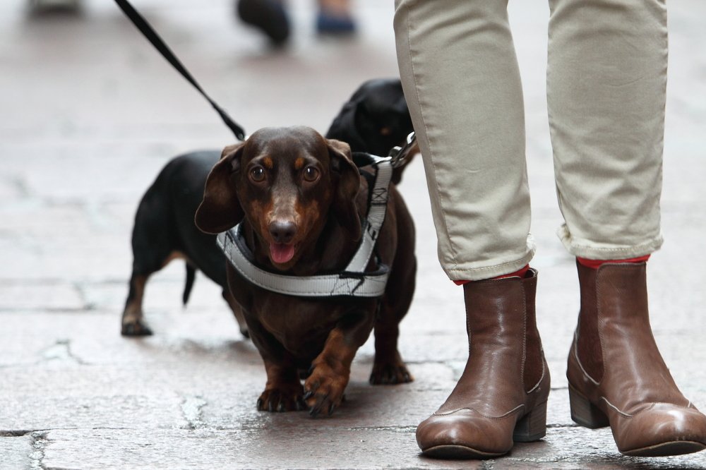 Photograph by Сергей Ножнин