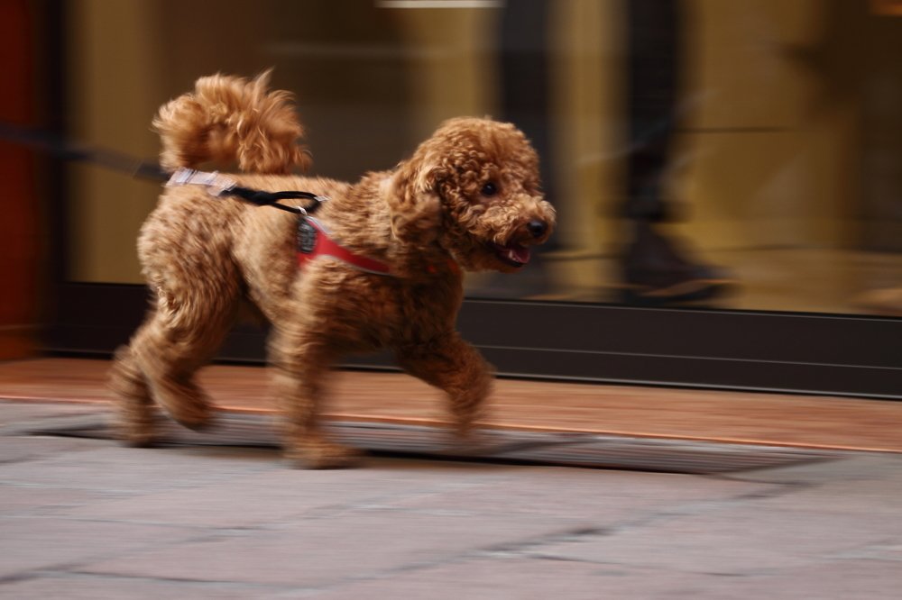 Photograph by Сергей Ножнин