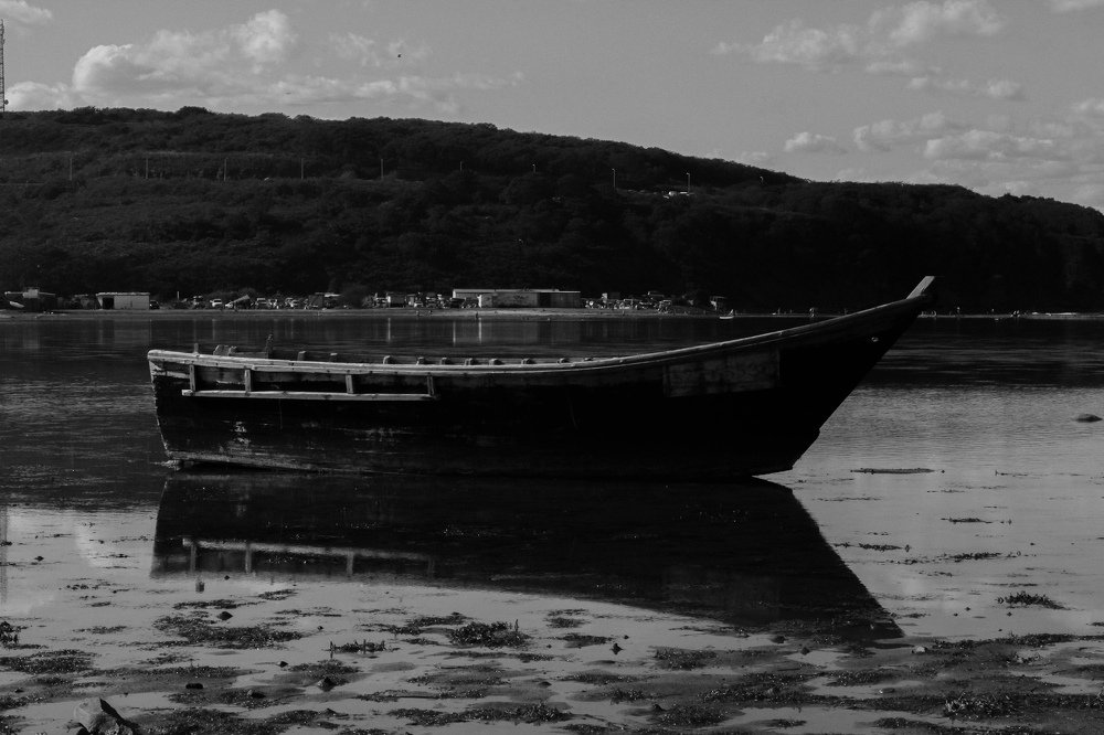 Photograph by ЕКАТЕРИНА БРАГИНА