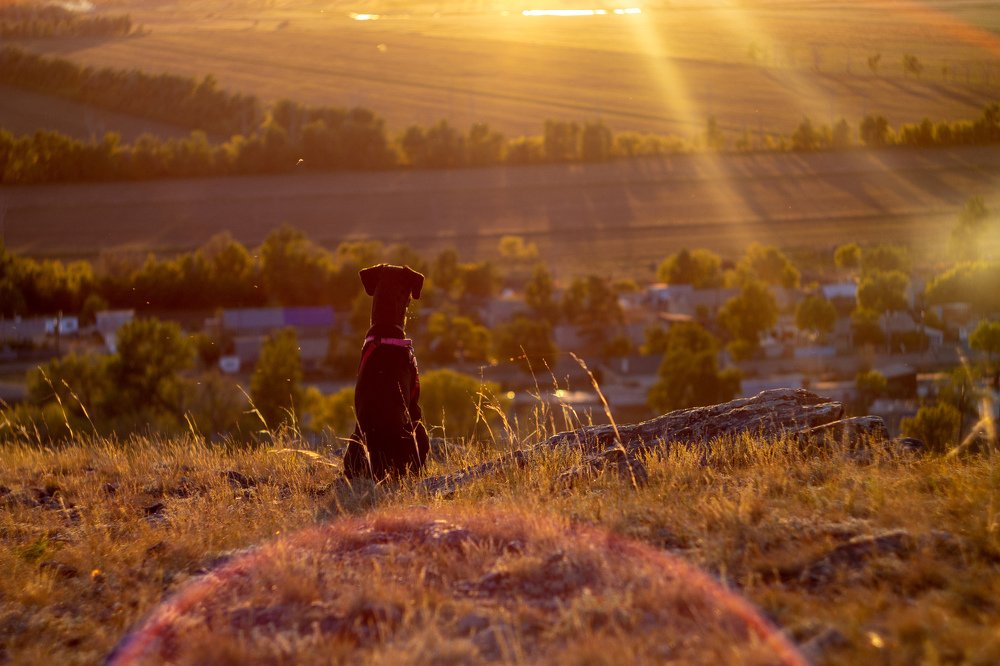 Фотография автора Руслан Токмагамбетов