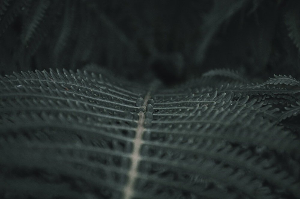 Photograph by Артем Масляев