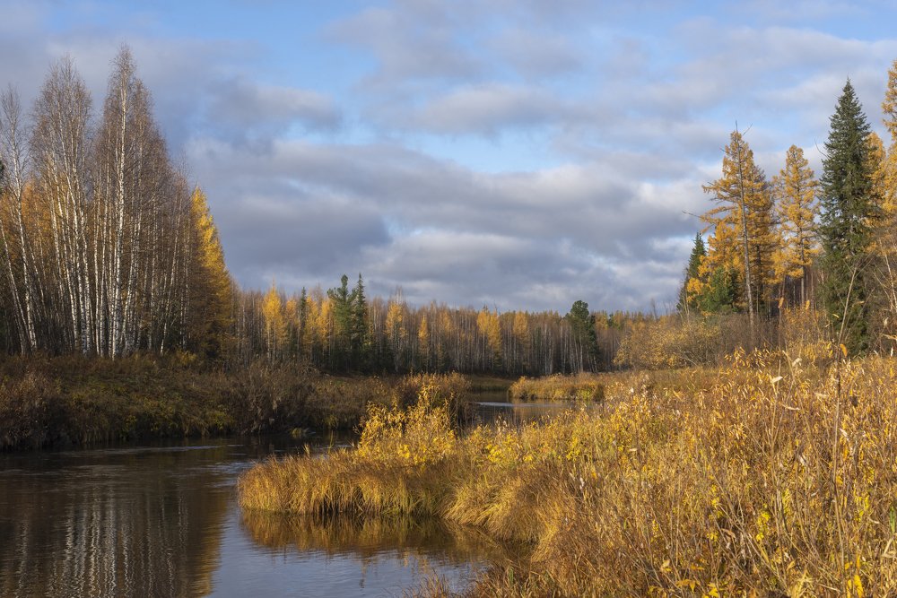 Таёжная река