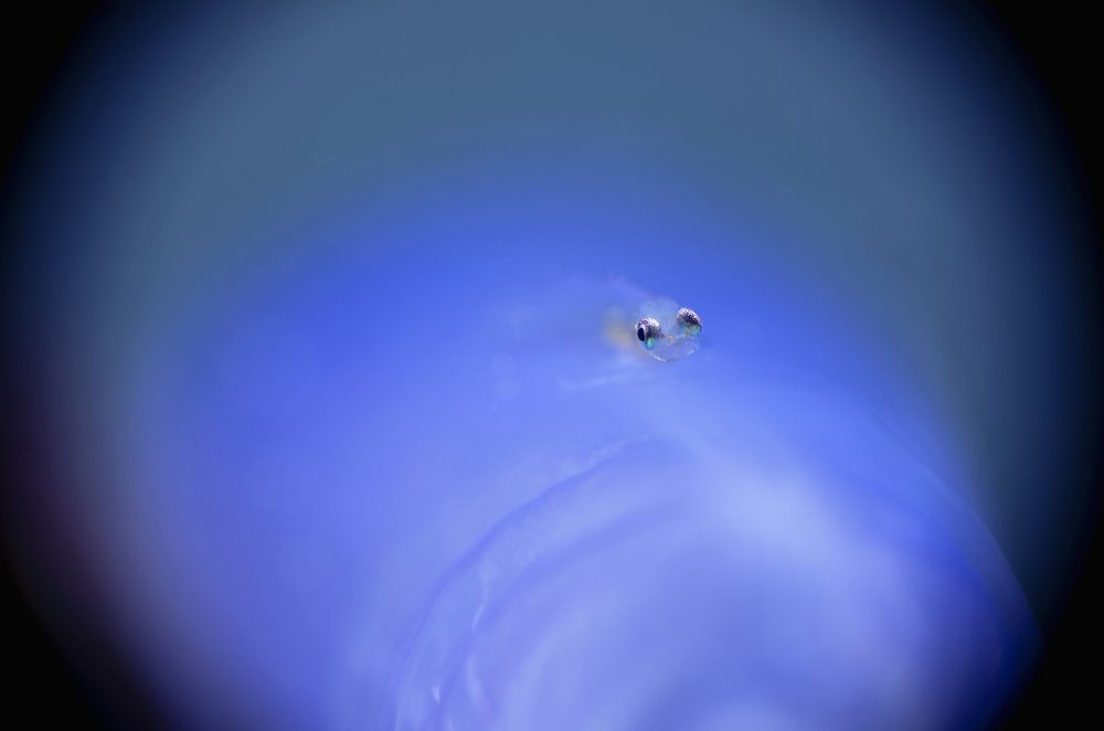 Photograph by EELIN Chan