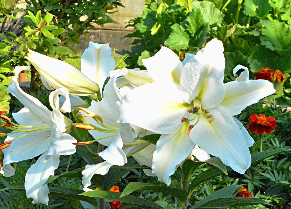 Photograph by Алексей Епишин