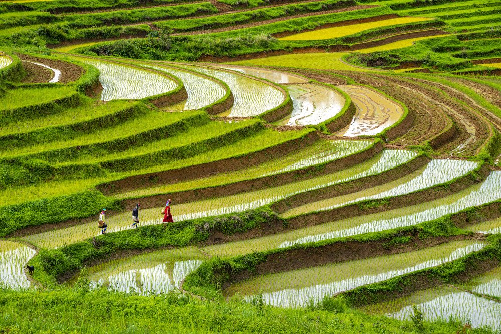 Photograph by Phyo Moe