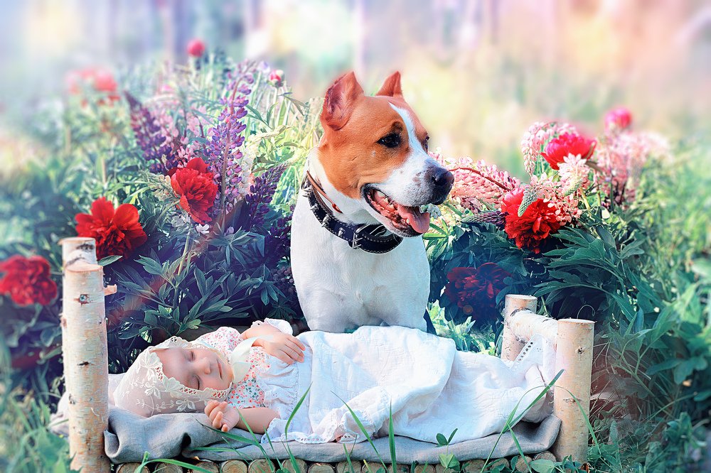 Photograph by Надежда Тарасенко