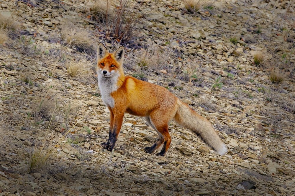 Photograph by петр чиков