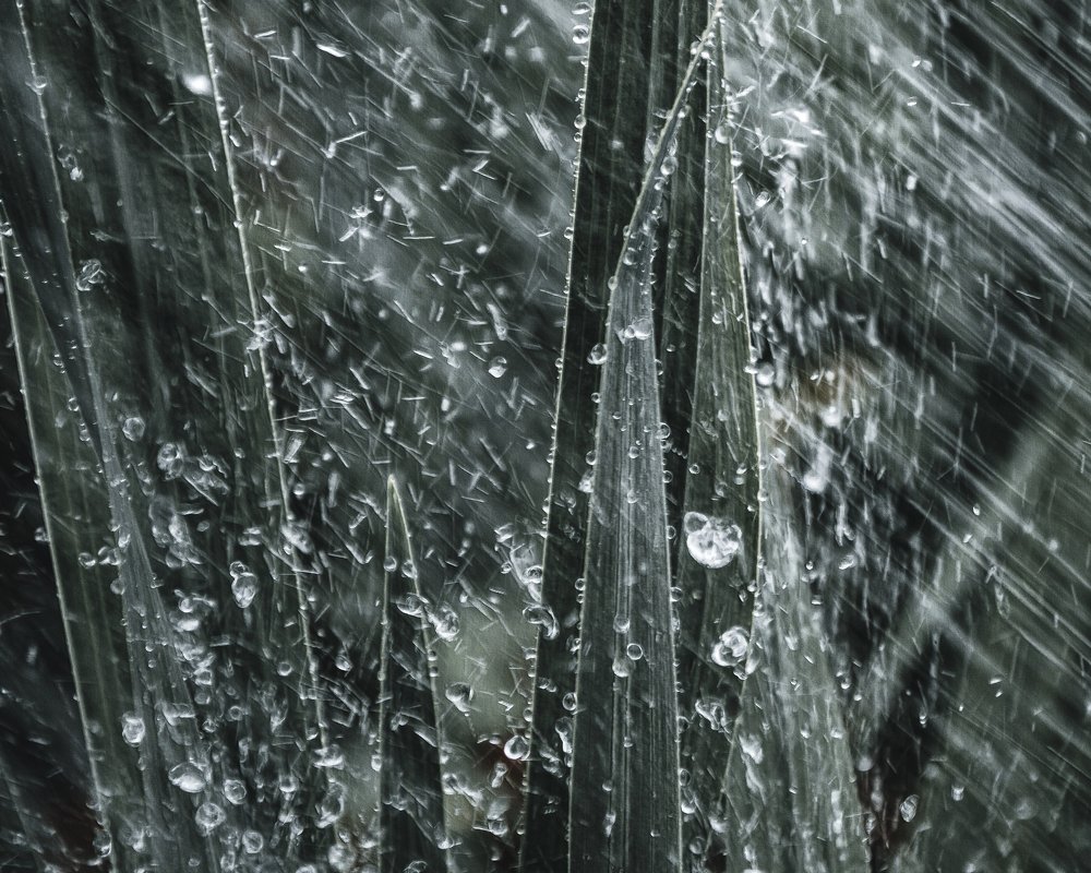 Photograph by Артем Масляев