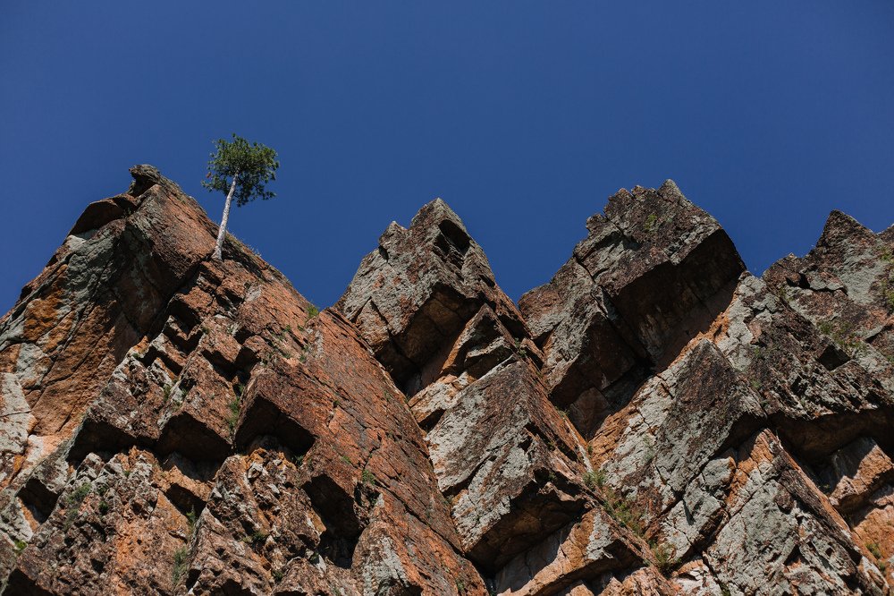 Фотография автора Екатерина