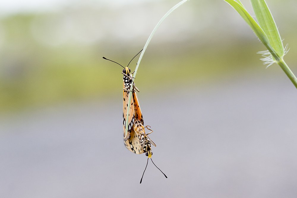 Photograph by Agus Wahyudi