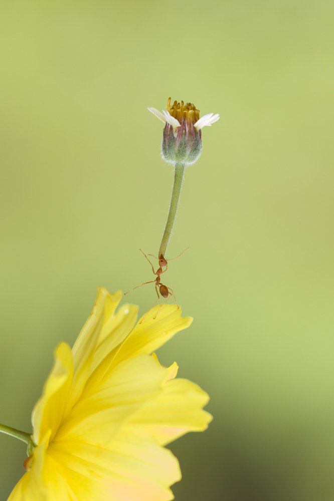 Photograph by Agus Wahyudi