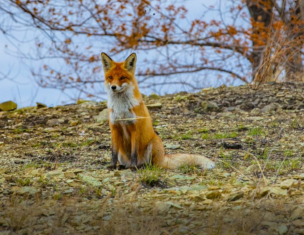 Photograph by петр чиков