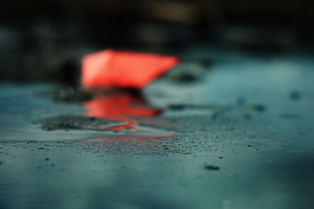 Photograph by Артем Масляев