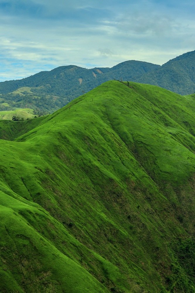 The Greenish Mountain Range
