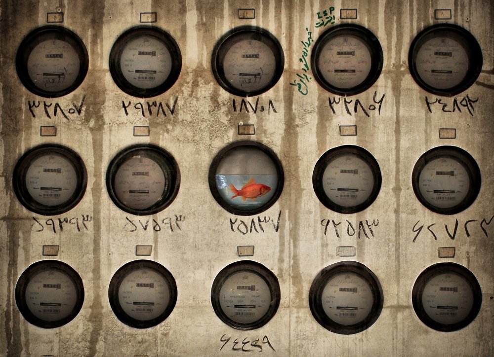 Photograph by Hadi Dehghanpour