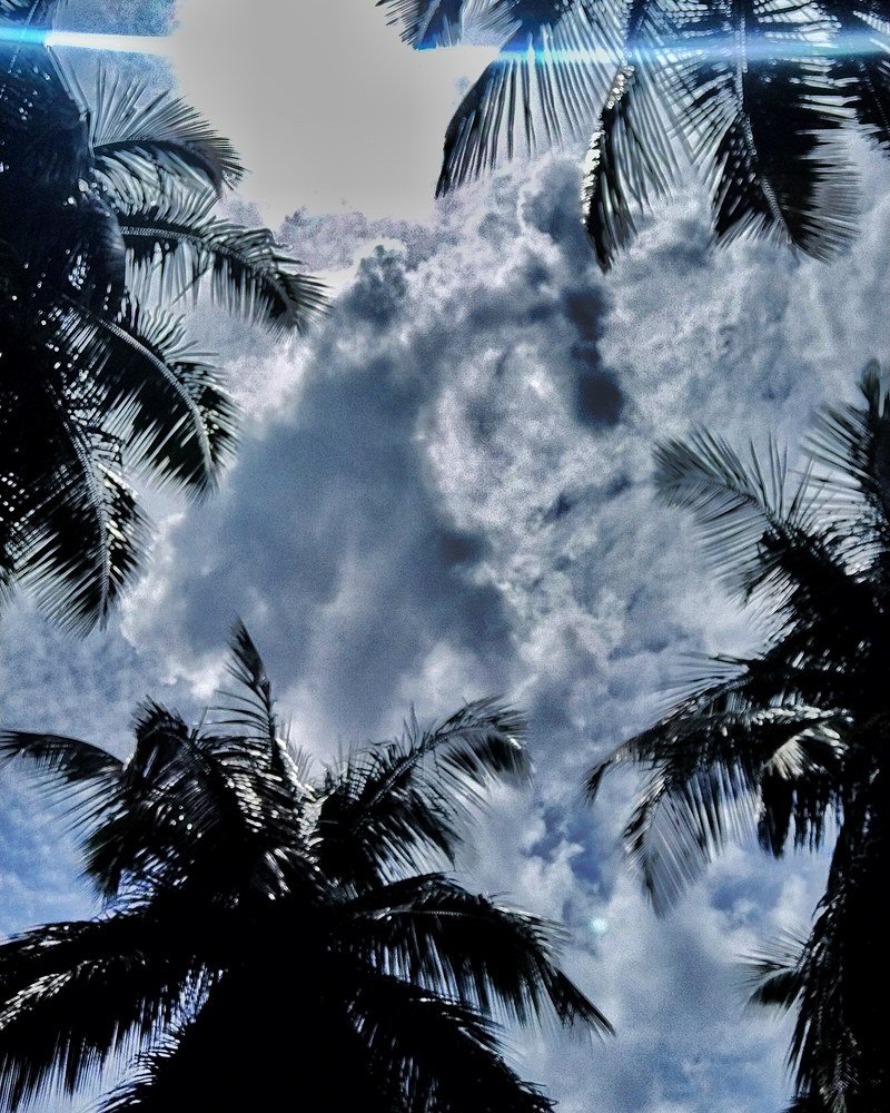 Фотография автора GOPALA KRISHNAN S