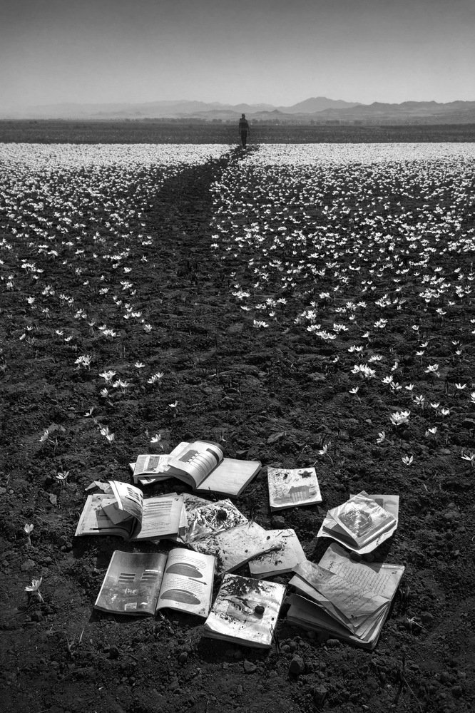 Photograph by Hadi Dehghanpour