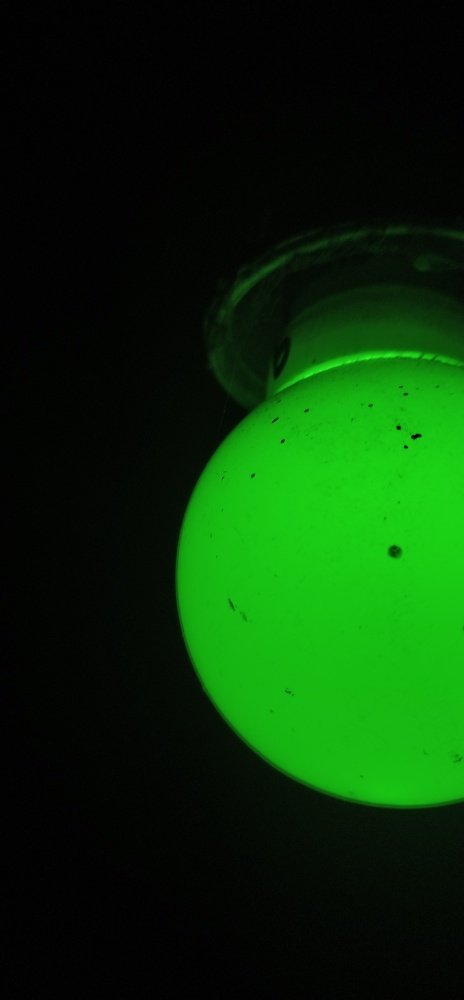 Фотография автора GOPALA KRISHNAN S