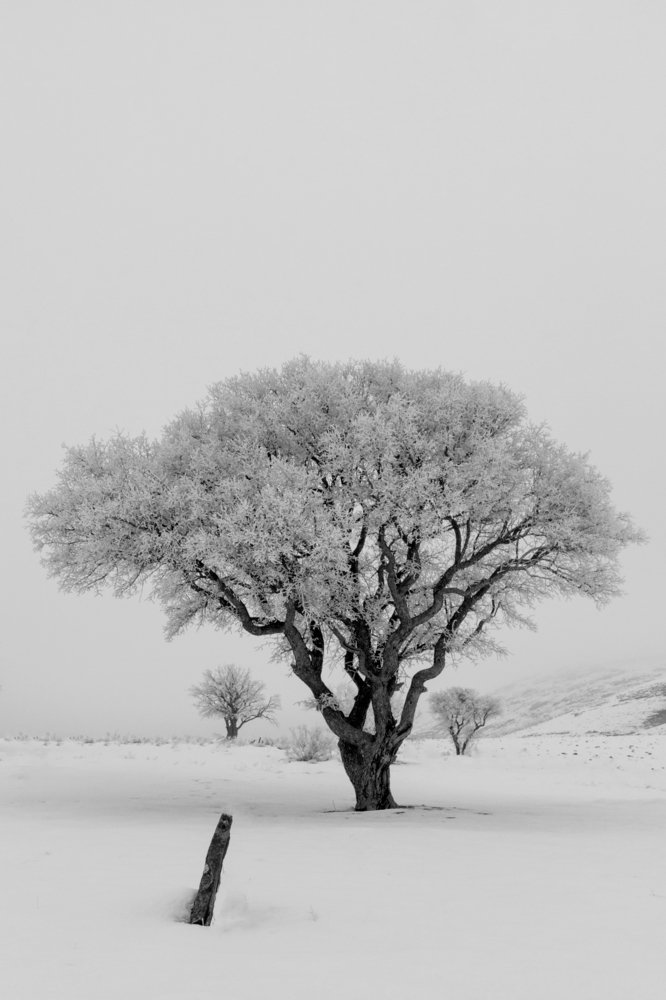 Photograph by Chia Hasankhali