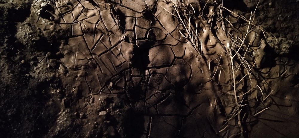 Фотография автора GOPALA KRISHNAN S