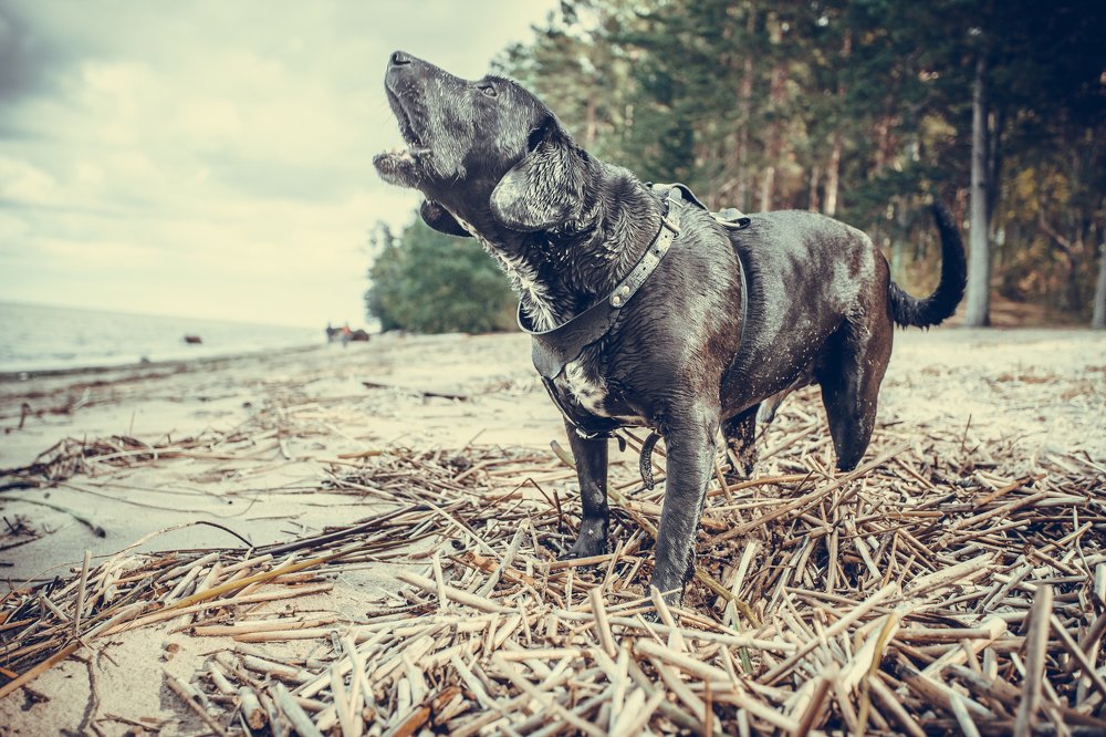 Photograph by Лев Кирьянов