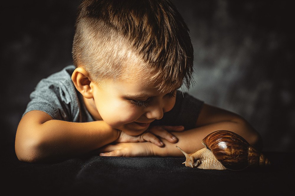 Мой новый друг