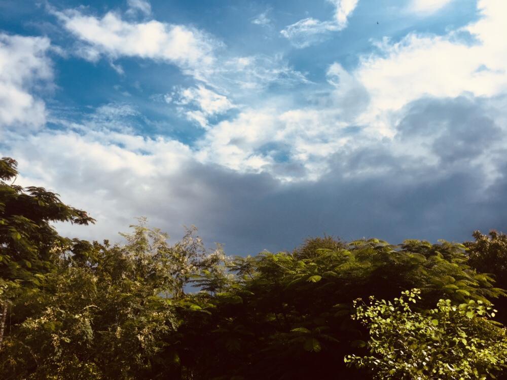 Photograph by Priyanka Bula