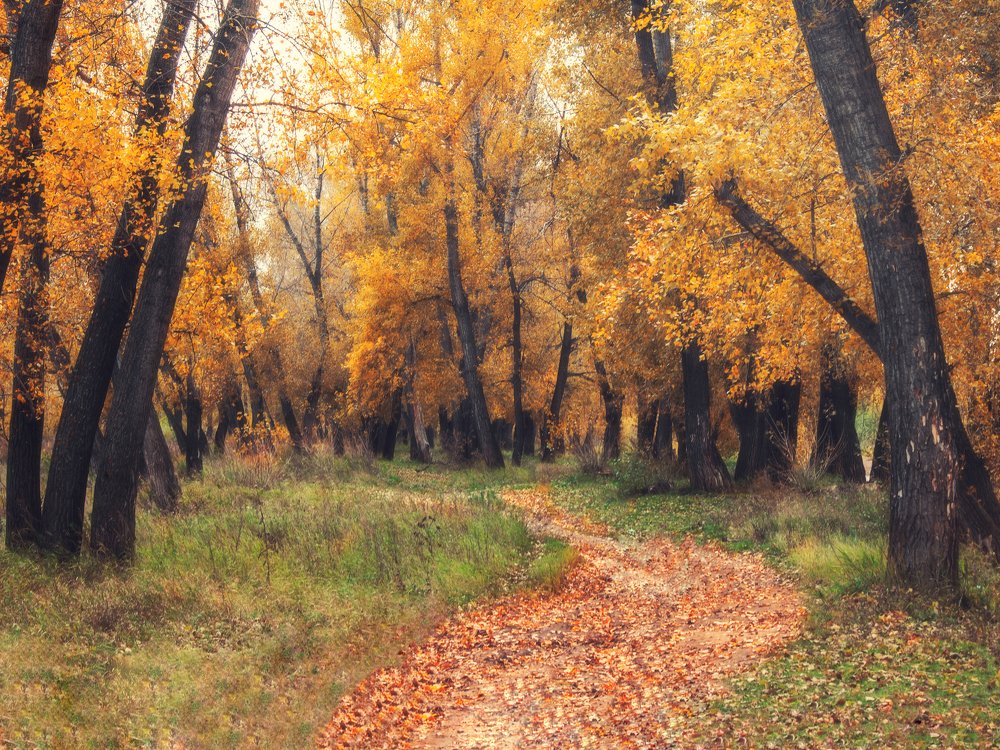 Photograph by Вячеслав Баширов