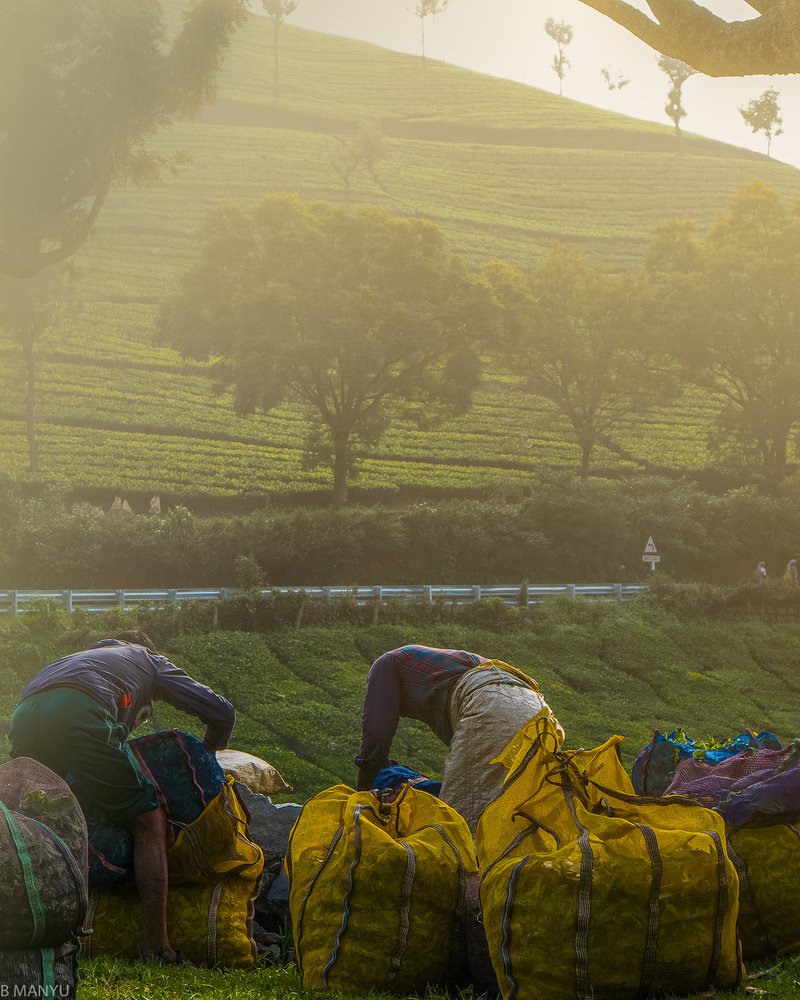 Photograph by C R ABHIMANYU ABHIMANYU