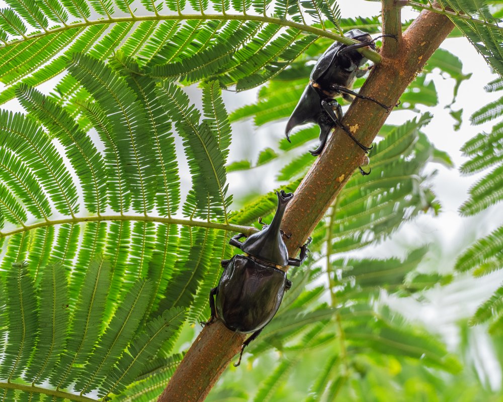 Photograph by Photons Reflectitur