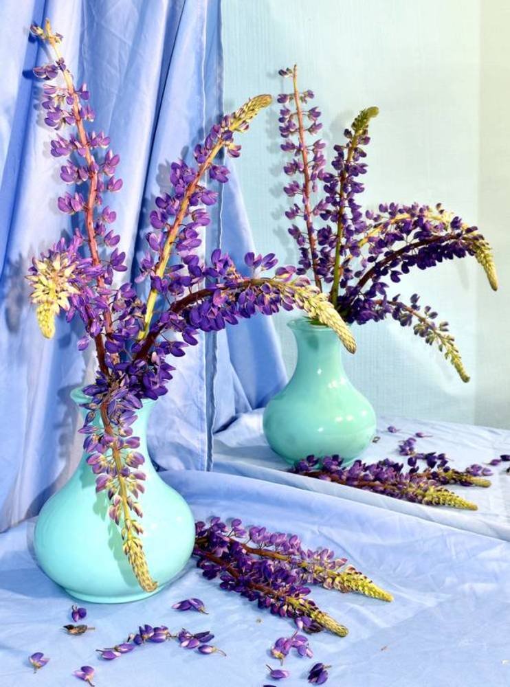 Photograph by Николай Чичерин