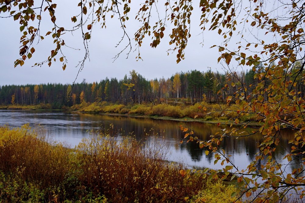 Ты  на  грусть  мою  похожа , осень ...