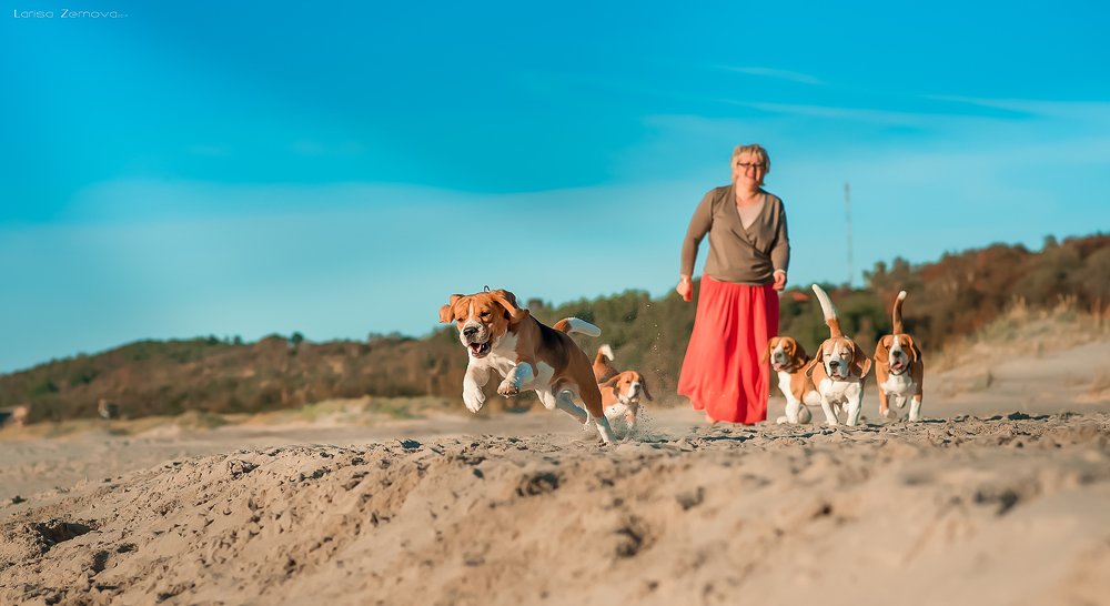 Photograph by Лариса Зернова