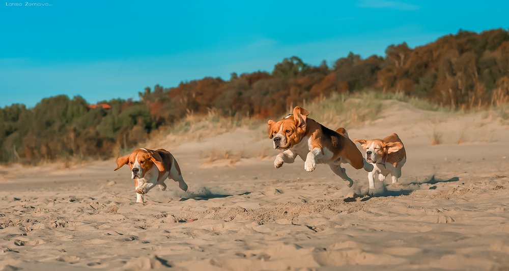 Photograph by Лариса Зернова