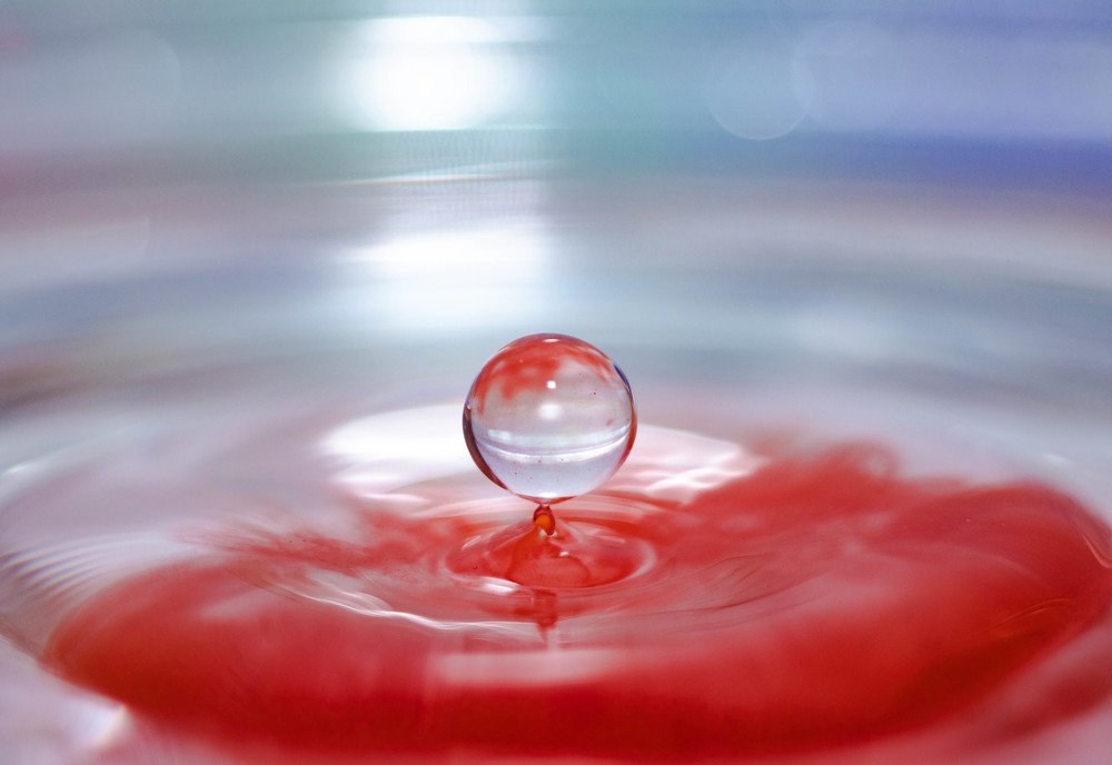 Photograph by Andrey Lesnik