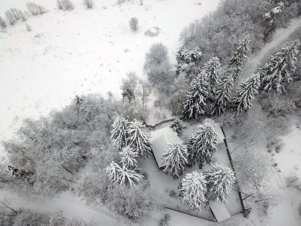 Photograph by Александр Цабель