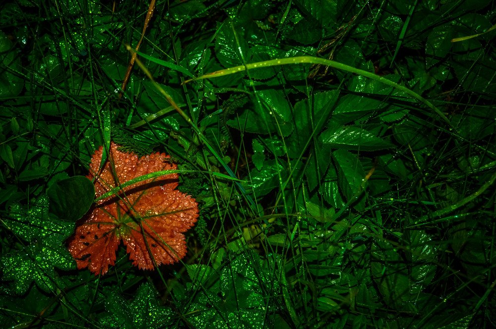 Photograph by Кирилл