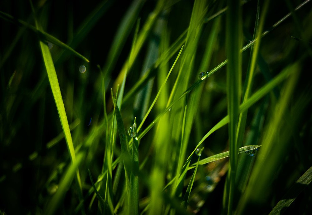 Photograph by Кирилл