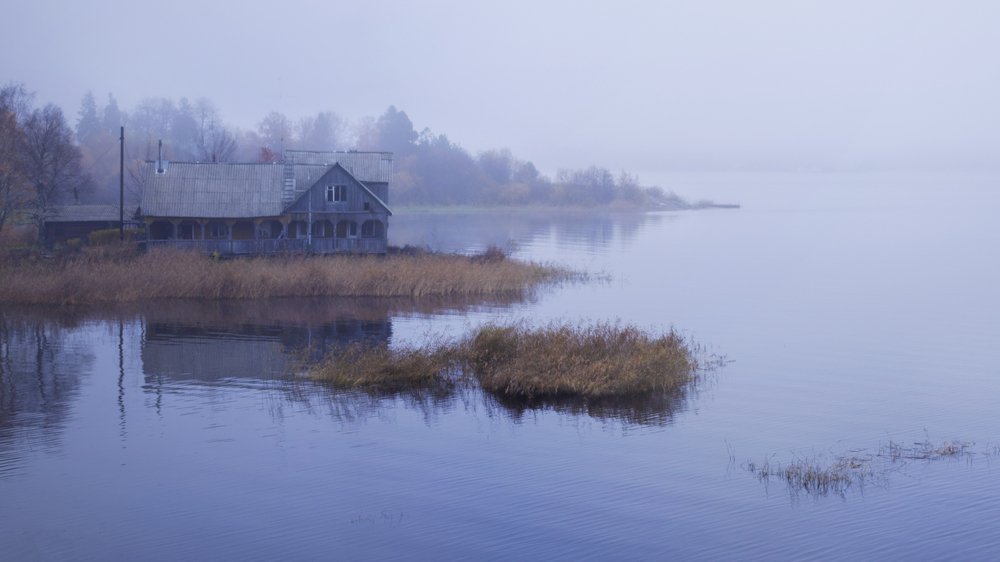 Photograph by Ася Легконогова