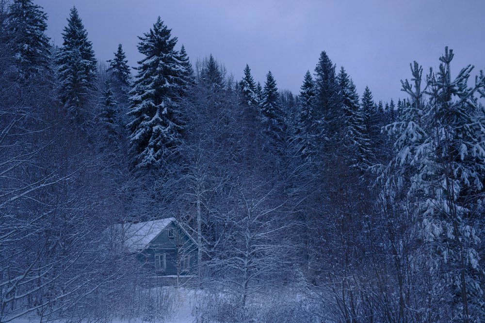 Photograph by Ася Легконогова