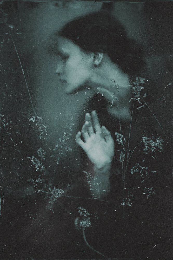 Photograph by Natalia Drepina