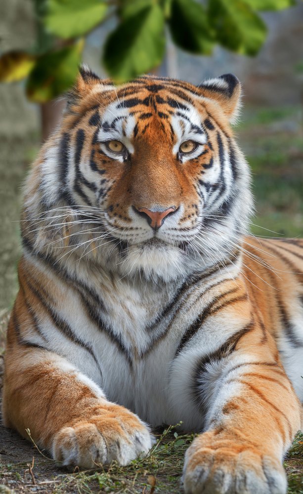 Photograph by Олег Богданов